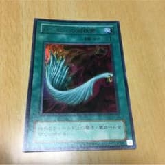 ハーピィの羽根箒のサムネイル