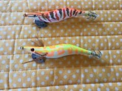 エギパタパタのサムネイル