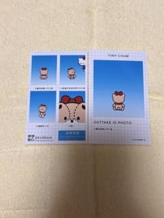 サンリオ 証明写真風スマロイド NG集 タイニーチャムのサムネイル