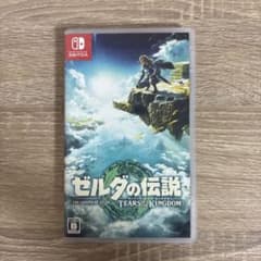 ゼルダの伝説 ティアーズ オブ ザ キングダムのサムネイル