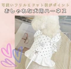 【XSサイズ】ハーネス＆リードセット　ホワイト　ドット柄　フリル　犬用のサムネイル