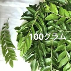 新鮮 カレーリーフ 料理用100グラムのサムネイル