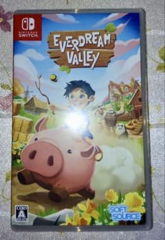 Everdream Valley あつまれどうぶつの森　好きな方へ
