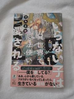 いらない子は異世界で魔法使いに愛される