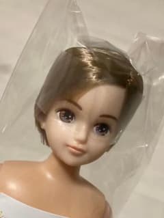 おたのしみドール　かけるくん　斜め分けのサムネイル