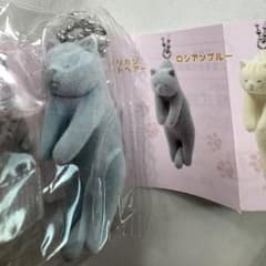 つまんだねこ2 ガチャガチャ アビシニアン　フロッキー素材のサムネイル