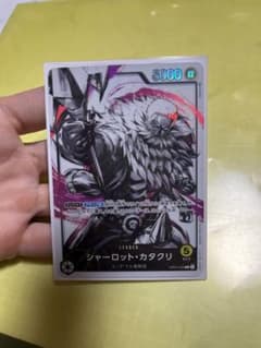本日限定価格！カタクリリーダーパラレルのサムネイル