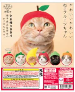 ねこ フルーツ ちゃんのサムネイル