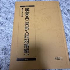 【10/8まで！！】漢文A（実戦入試対策編） 駿台漢文科編 2025 後期のサムネイル