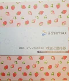 ねこのミケ様専用相鉄ホールディングス 株主優待券冊子 2026/06/30までのサムネイル