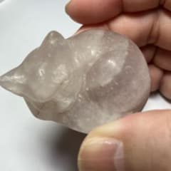 かわいい！フローライトネコちゃんのサムネイル