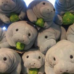 ヒロ様専用のサムネイル