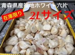 青森産 にんにく L,2Lサイズ バラ タネにオススメ 福地ホワイト六片