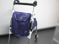 ウィズワン(象印ベビー】シルバーカー ピウプレスト マム ポイント