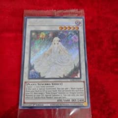 極美品 ガーデンローズメイデンEU版 未開封のサムネイル