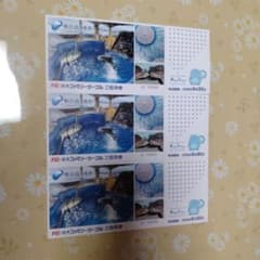 新江ノ島水族館 招待券　３枚セットのサムネイル