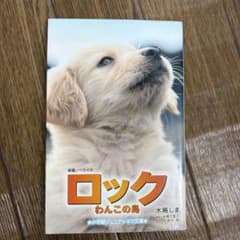 ロック わんこの島 小学館ジュニアシネマ文庫のサムネイル