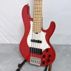 D13 GrassRoots G-T-80BD tetsuyaモデル 5弦ベース D13 GrassRoots G-T-80BD tetsuyaモデル 5弦ベース - メルカリ