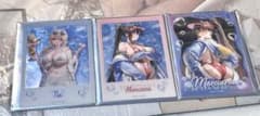 勝利の女神 NIKKE SUMMER クリアカード 3枚セットのサムネイル