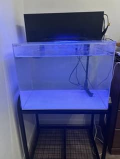 アクリル水槽　60㎝ワイド水槽　引き取り限定のサムネイル