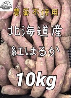 北海道栗山町産 ファームうかわ 訳ありさつまいも 紅はるか 10kg 農薬不使用のサムネイル