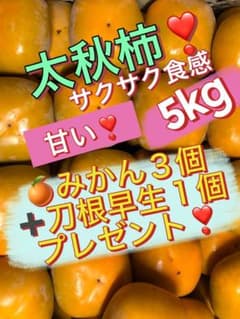 太秋柿 5kg 甘いサクサク食感。 刀根早生１個とみかん３個プレゼント❣️のサムネイル