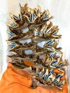 106 旅人の木 11房 今季物 宮古島産 - メルカリ