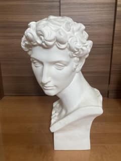 メディチ首像。60cm メディチ石膏像 デッサン首像 - メルカリ