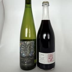 モンガク谷 2023 栃（とち） ランセッカ 2024 小公子 セット - メルカリ