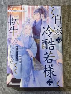 小説 白家の冷酷若様に転生してしまった