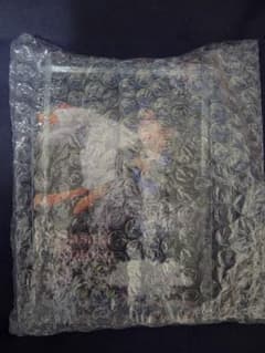 佐々木琴子 デジタルサイン入りアクリルブロックのサムネイル