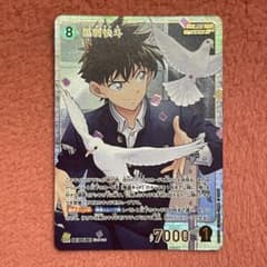 m91551848626_1.jpg?1750348621