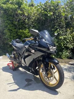 美車‼️カワサキ　ニンジャninja 250R 黒 15800キロ　車庫保管　個人のサムネイル