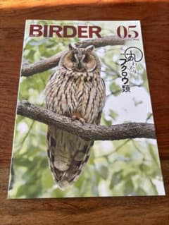 BIRDER 2024年5月号 フクロウ類特集のサムネイル