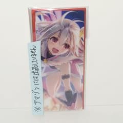 Fate FGO 최종 재임전 편성 화면풍 카드 아처 수영복 일리야