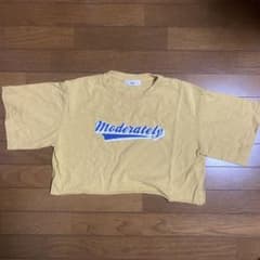 クロップド　短丈　Tシャツ WEGOのサムネイル