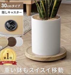 プラントキャスターラウンド　ホワイト（直径30cm）のサムネイル