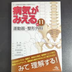 病気がみえる vol.11のサムネイル