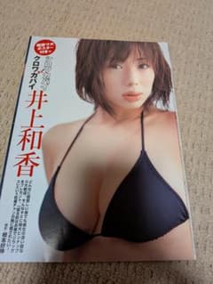 井上和香 切り抜き　800ページ 井上和香 切り抜き 800ページ - メルカリ