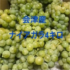 ナイアガラ4キロ箱　ぶどうのサムネイル