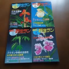 自然と野生ラン 2008年 5月号〜8月号 4冊セットのサムネイル