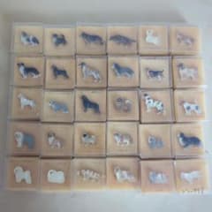 m91609023032_1.jpg?1716734852