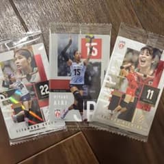 バレーボール日本代表 トレーディングカード 3枚セットのサムネイル