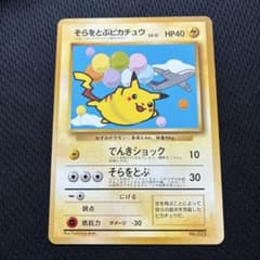 そらをとぶピカチュウ_ANA 「ジェットでゲットだ！Wチャンス
