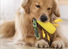 大型犬　中型犬　犬用おもちゃ　デンタルケア　歯磨き　噛むおもちゃ　とうもろこしのサムネイル