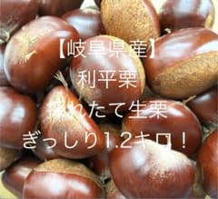 ①【数量限定】岐阜県産生栗【利平栗1.2キロ】のサムネイル