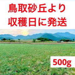 鳥取県産　らっきょう　福部　砂丘　ふくべ　500g お試しのサムネイル