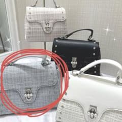 【お値下げ中】evelyn ノベルティ ショルダーバッグのサムネイル