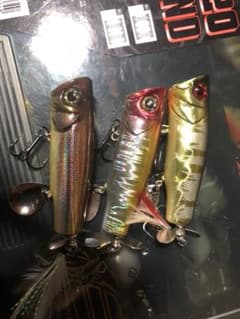 ビンクシー   ゴールドオイカワのサムネイル