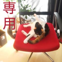 【しも様専用】カラーサンド【材料　色砂　砂絵】のサムネイル